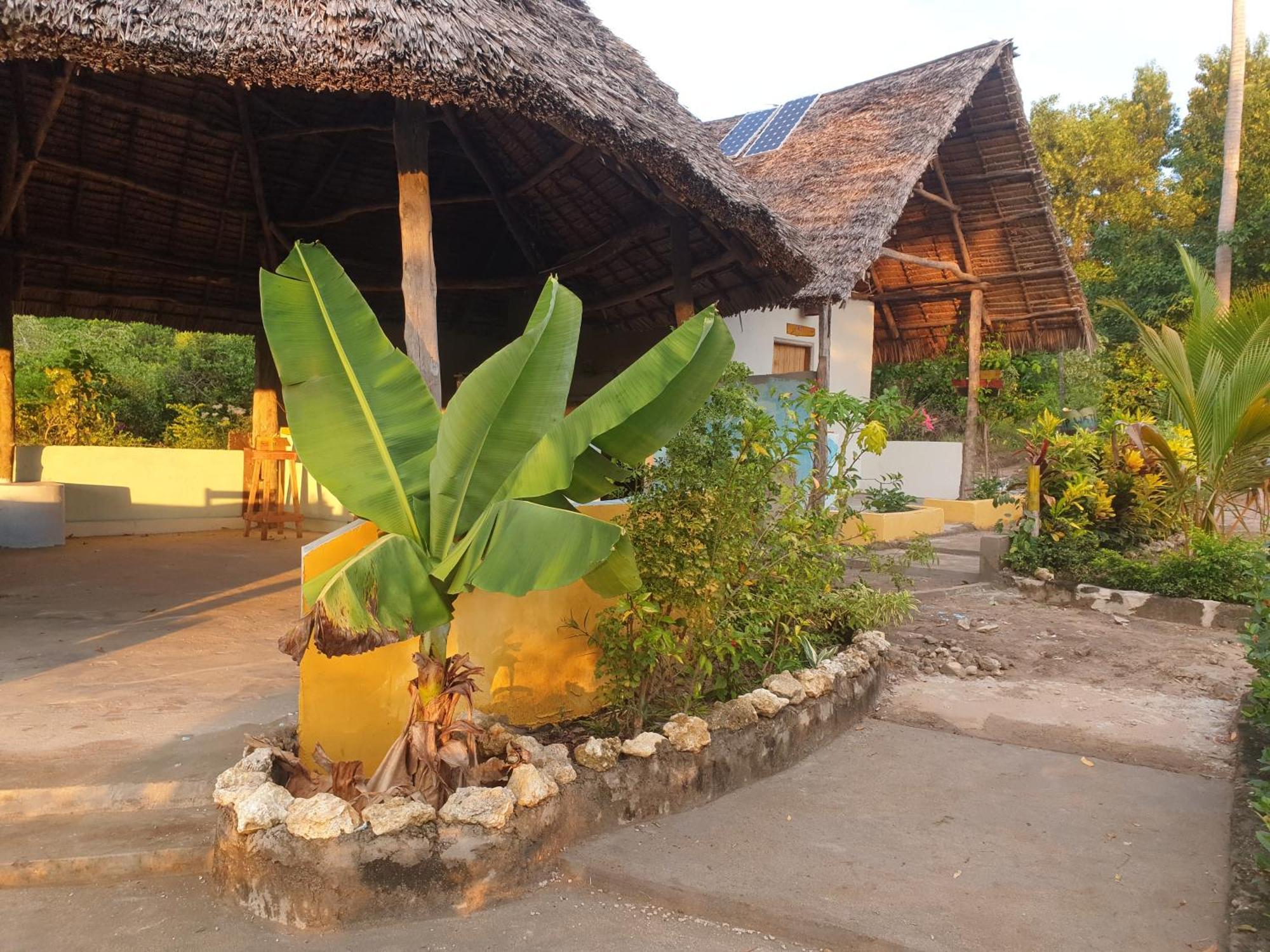 Rasta House Bed & Breakfast Килиндони Екстериор снимка